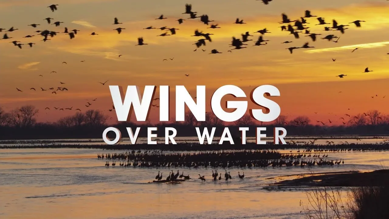 Wings Over Water (2022) / Studio: Switch Entertainment / Production Manager