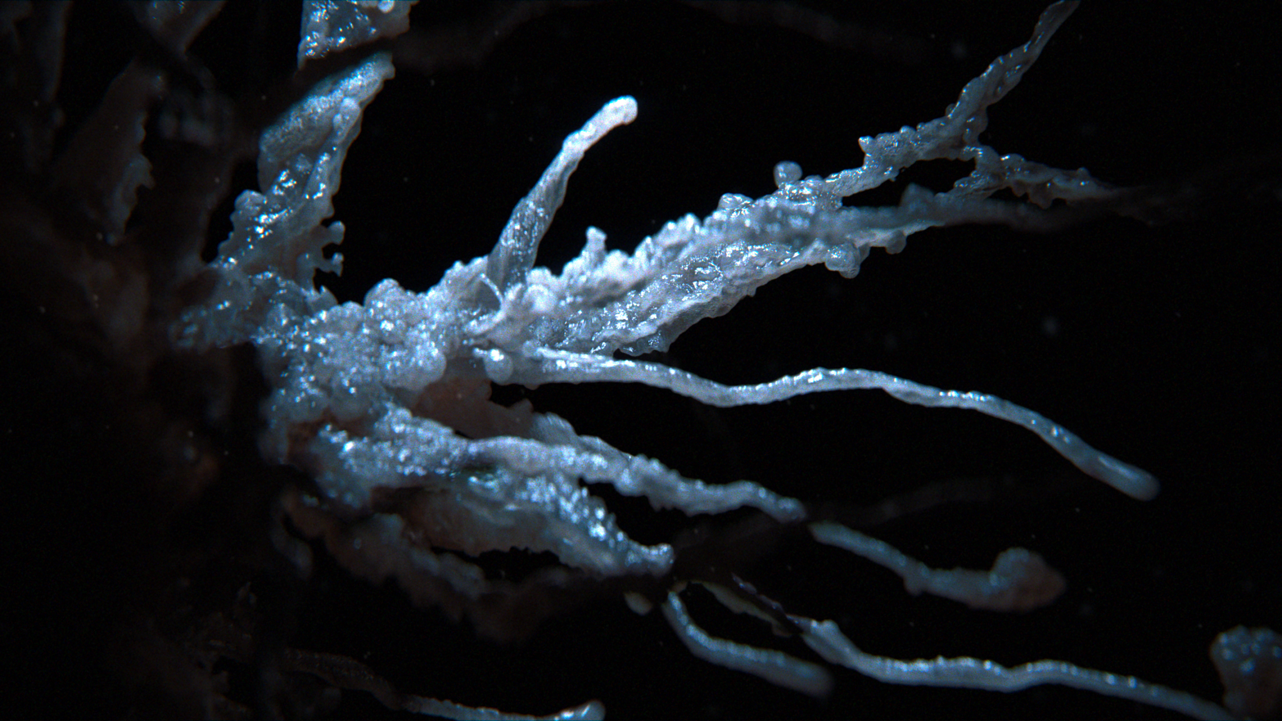 Alien: Earth  / Studio: Tendril / Producer