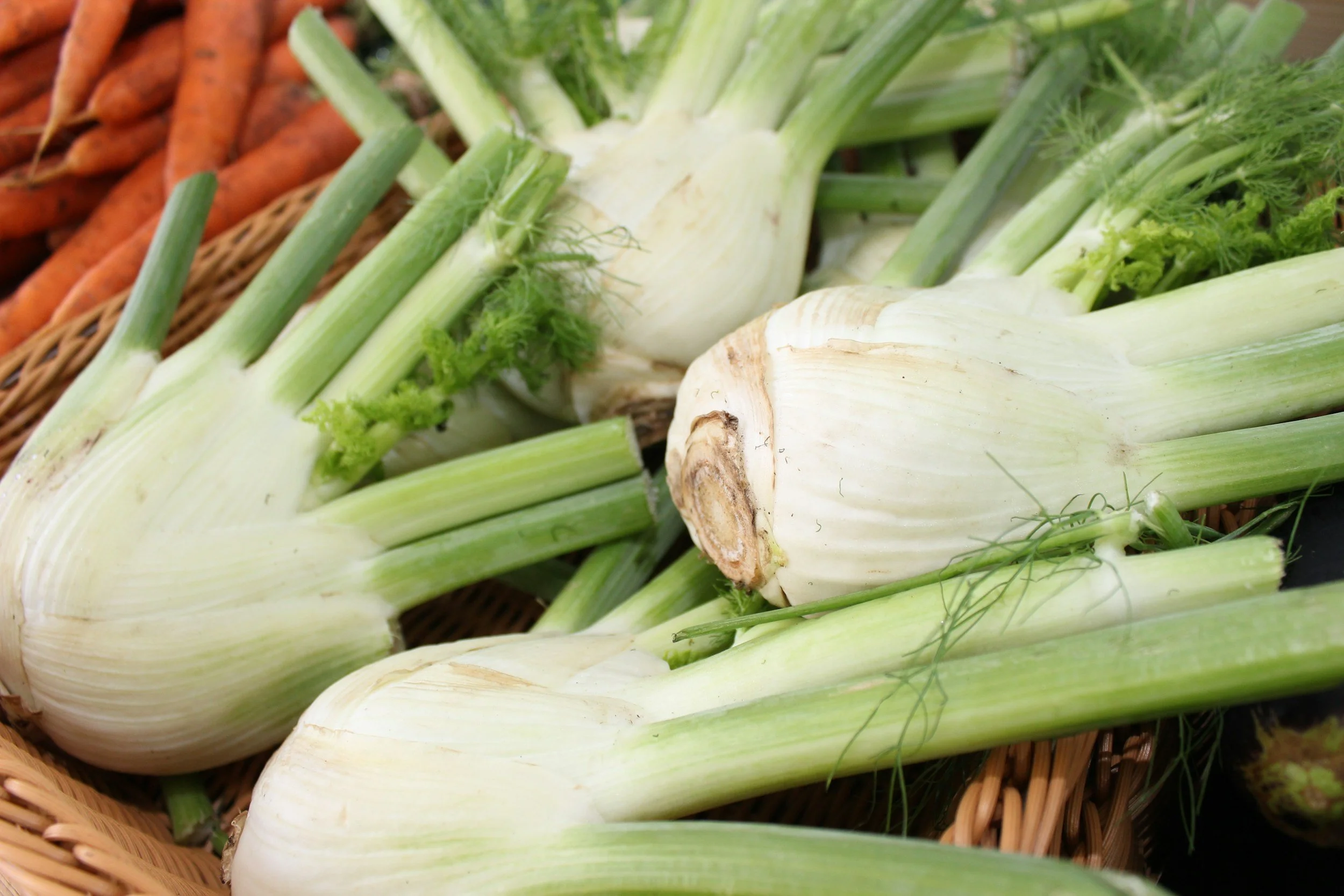 Unexpectedly Delicious: Fennel