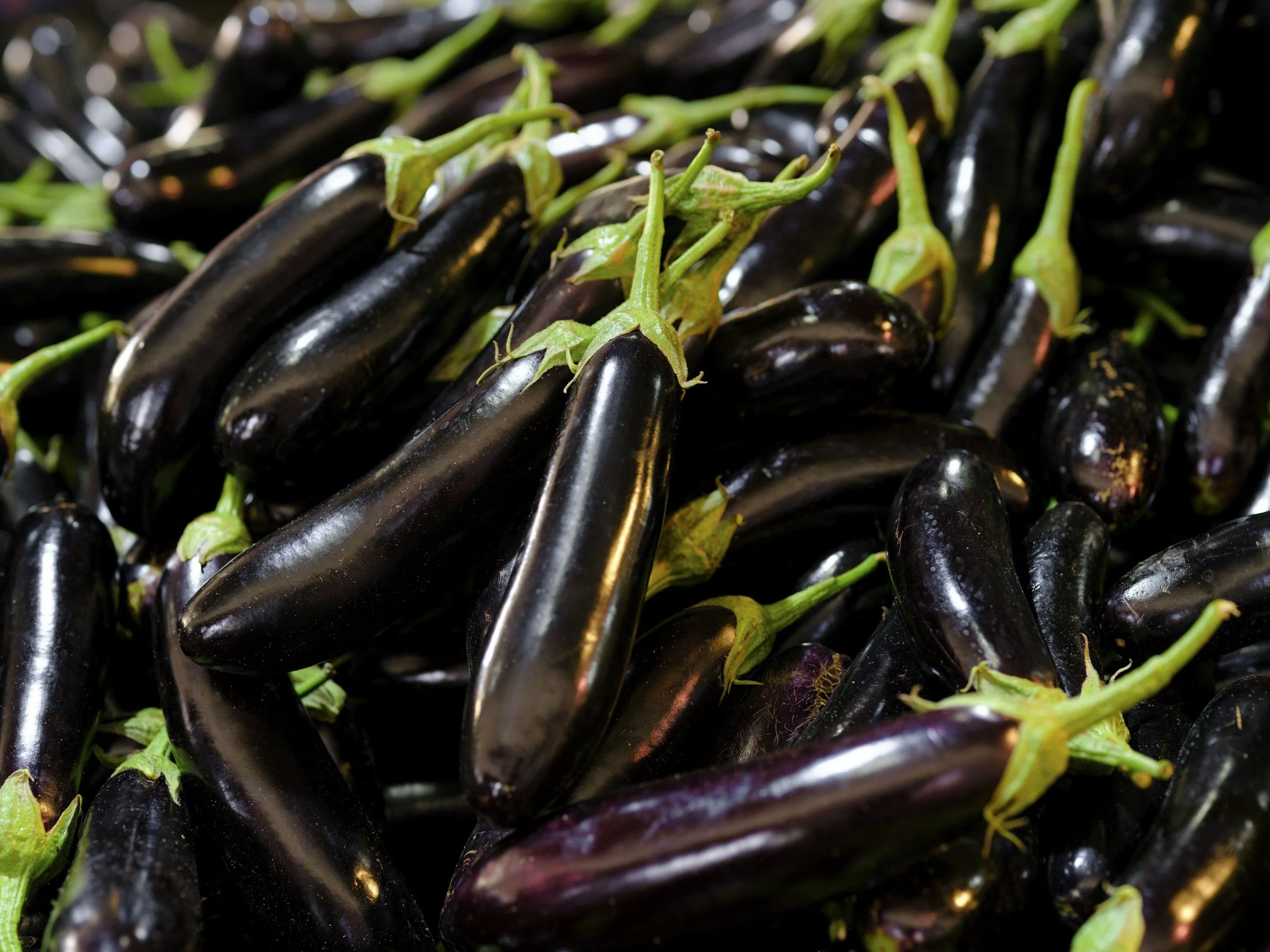 Unexpectedly Delicious: Eggplants