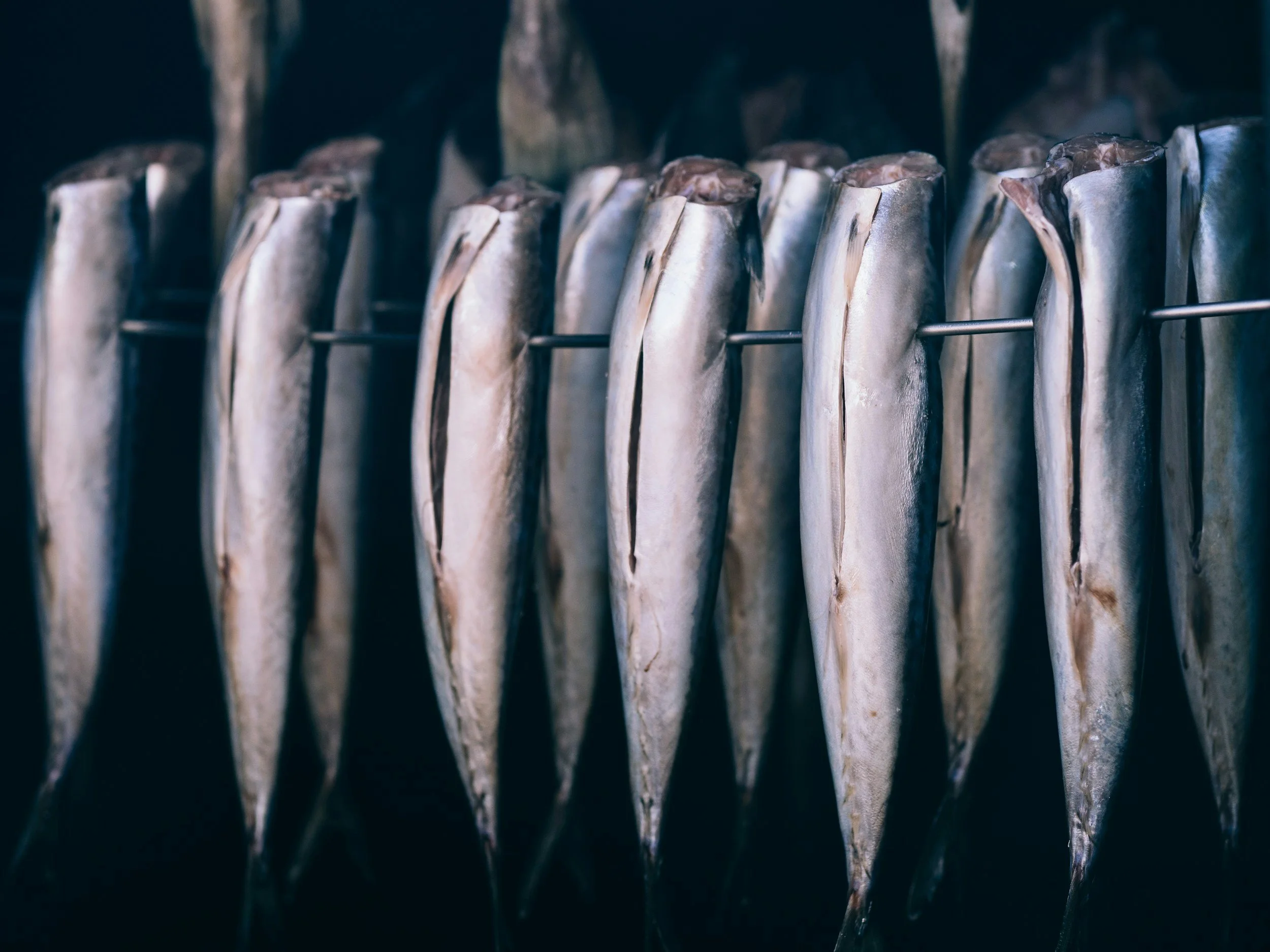 Ocean Odyssey: Part Two – What to Think About When Buying Fish