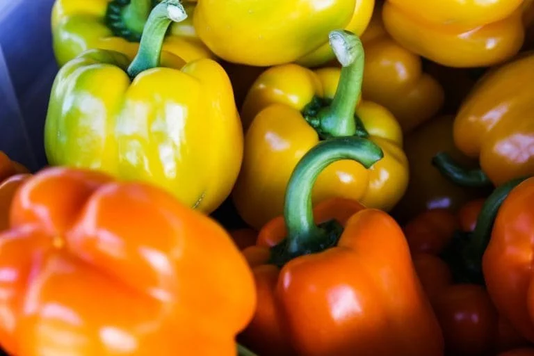 Vitamin C and the Prevention of Heart Disease, Type-2 Diabetes and Cancer