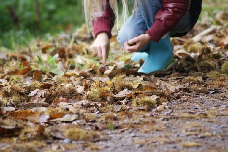 Feast or Forage: Diets Then and Now
