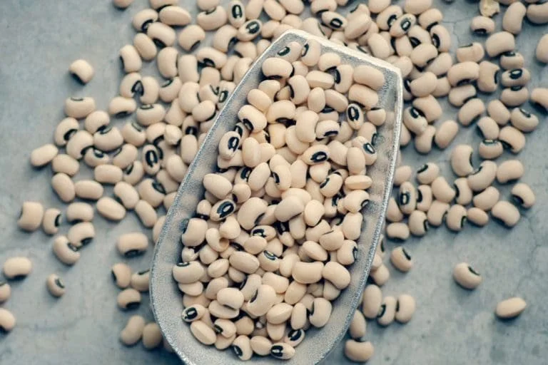 Why Meatless Mondays?