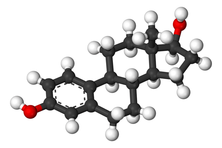 Guest Blog: Hormones and Your Health