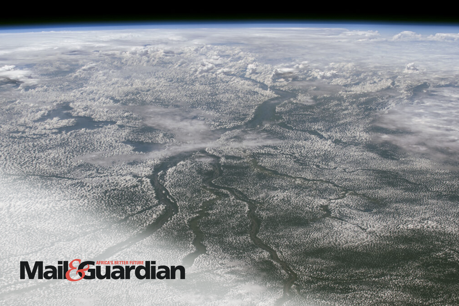 Mail &amp; Guardian Features the Science Panel for the Congo Basin