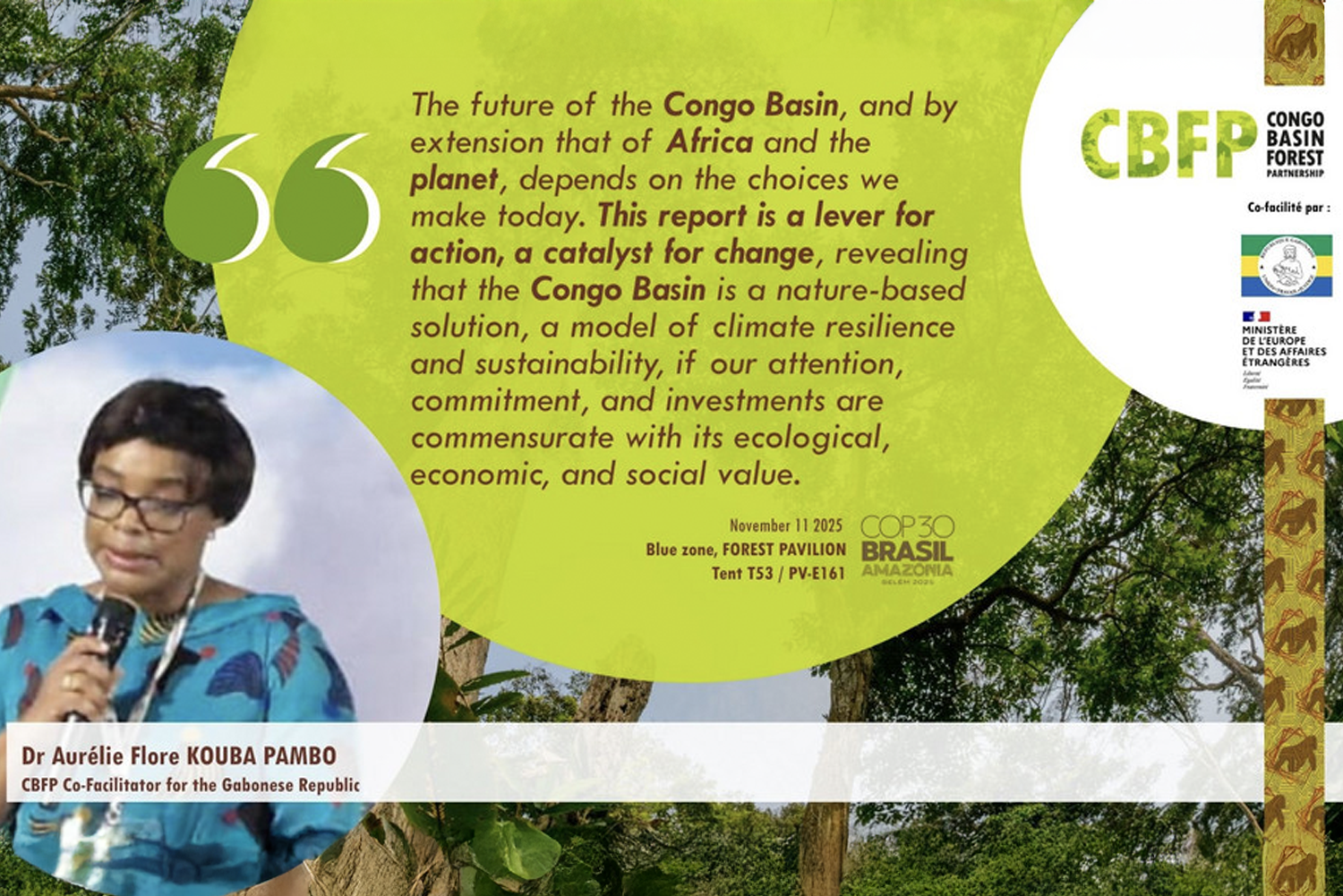 The Congo Basin 2025 Assessment Report Presented at COP30