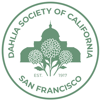 One-Year Family Membership to DSC