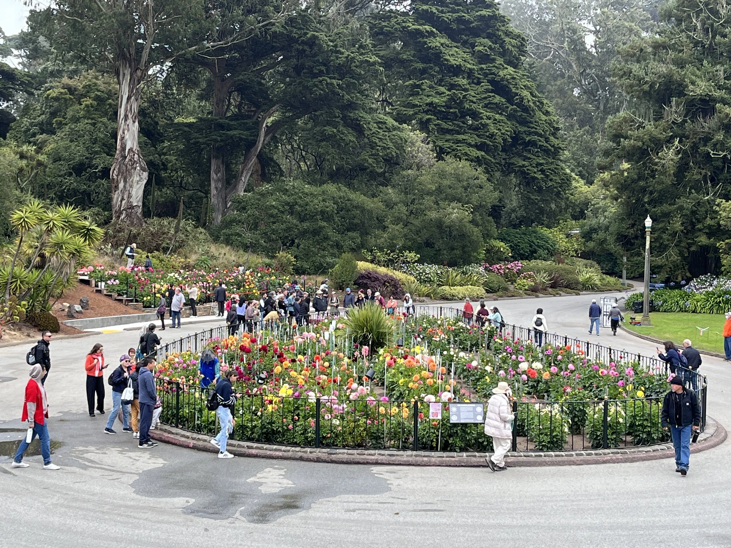 A crowd of people walking and gathering around a circular flower bed filled with colorful flowers, with large trees and a streetlamp in the background.