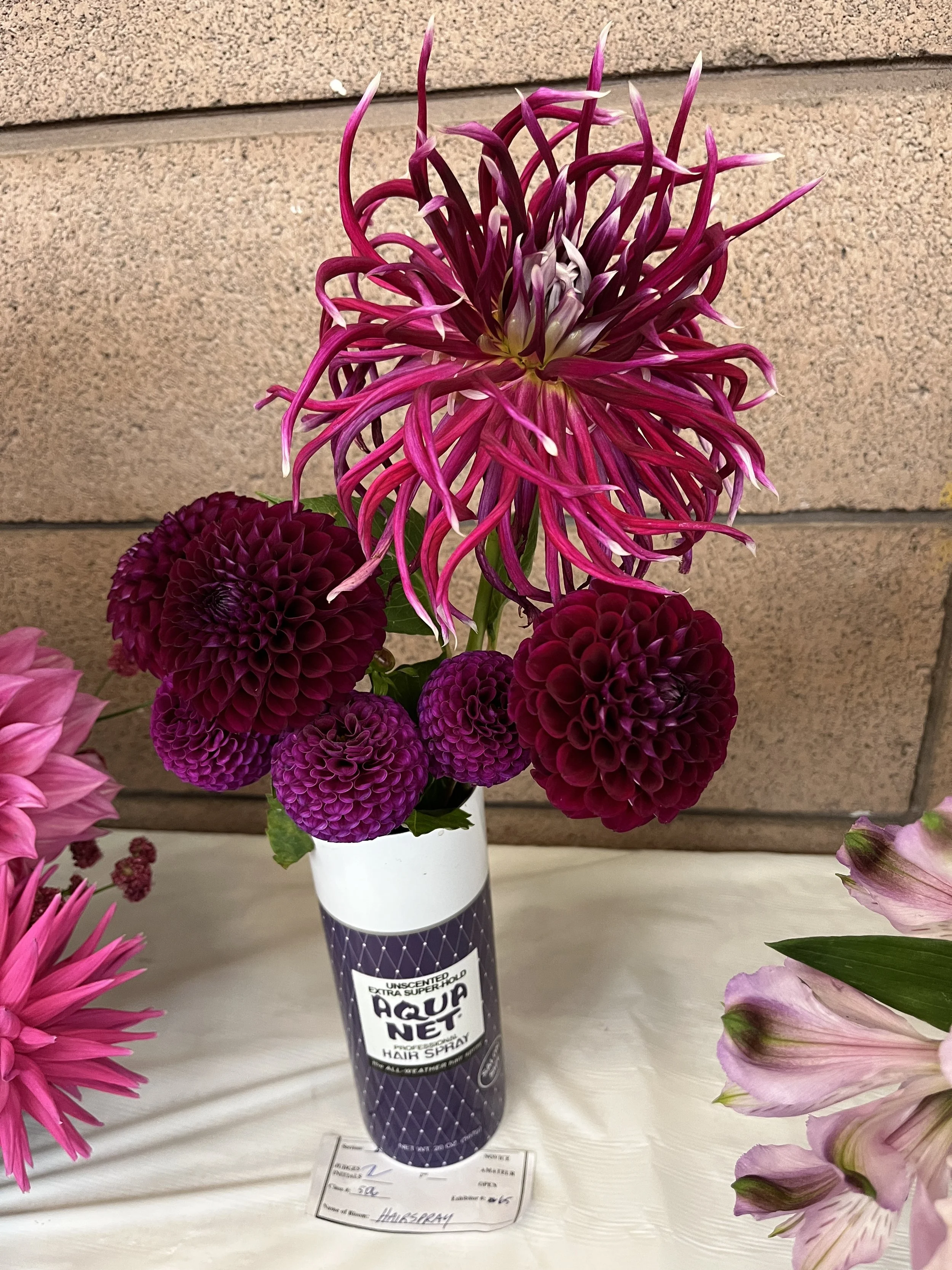 Tara's hilarious arrangement.