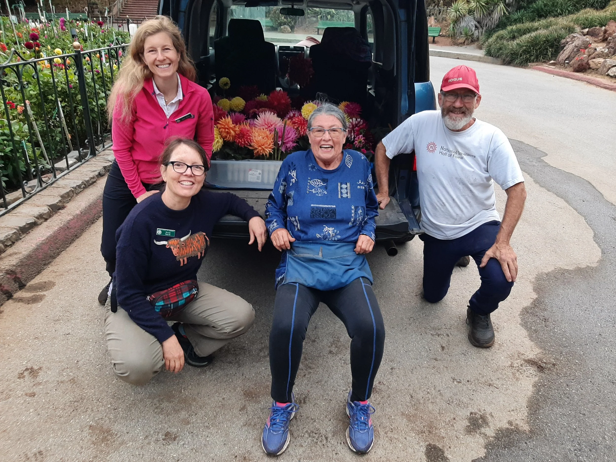 Deborah's pickings for the 2023 DSC show