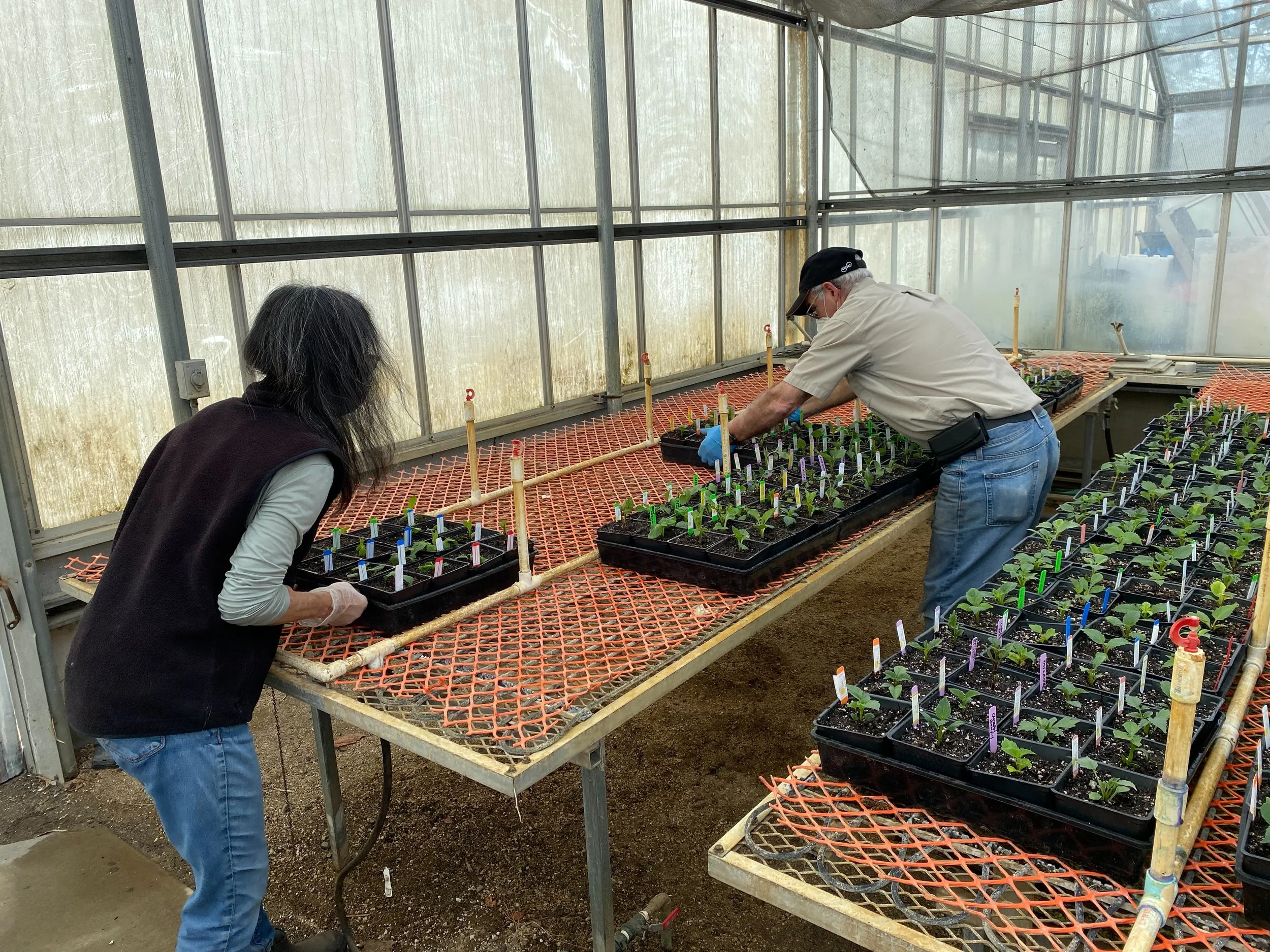Tinney and Lou at the cutting bench
