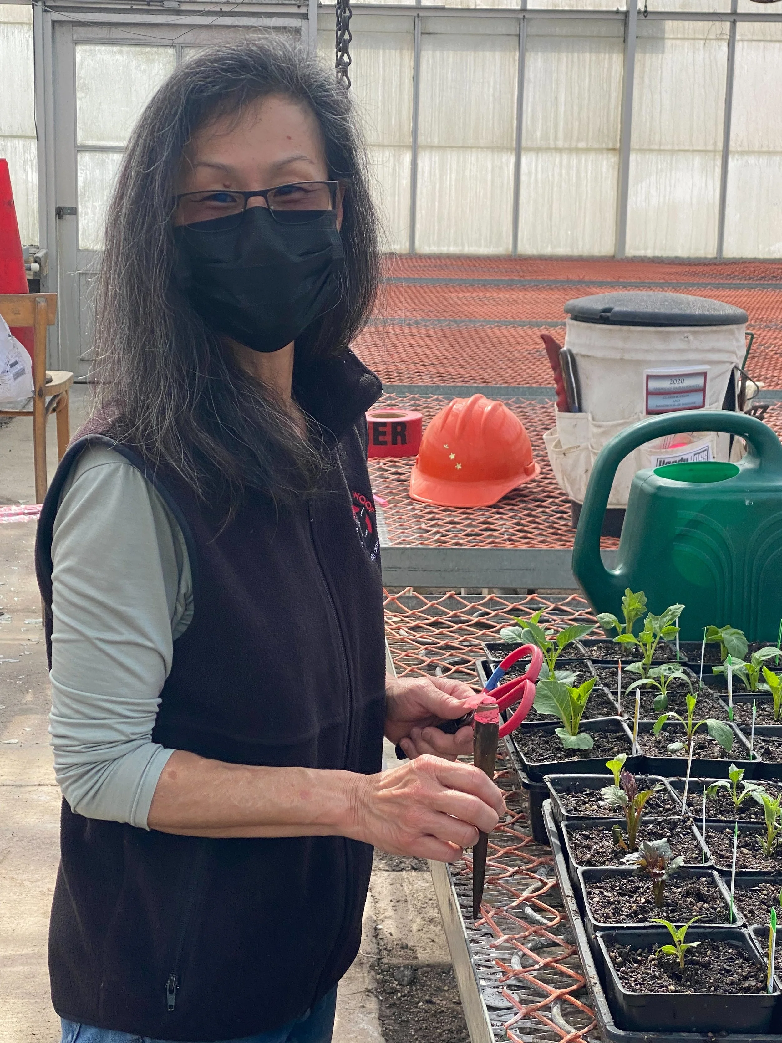 Tinney at the cutting bench
