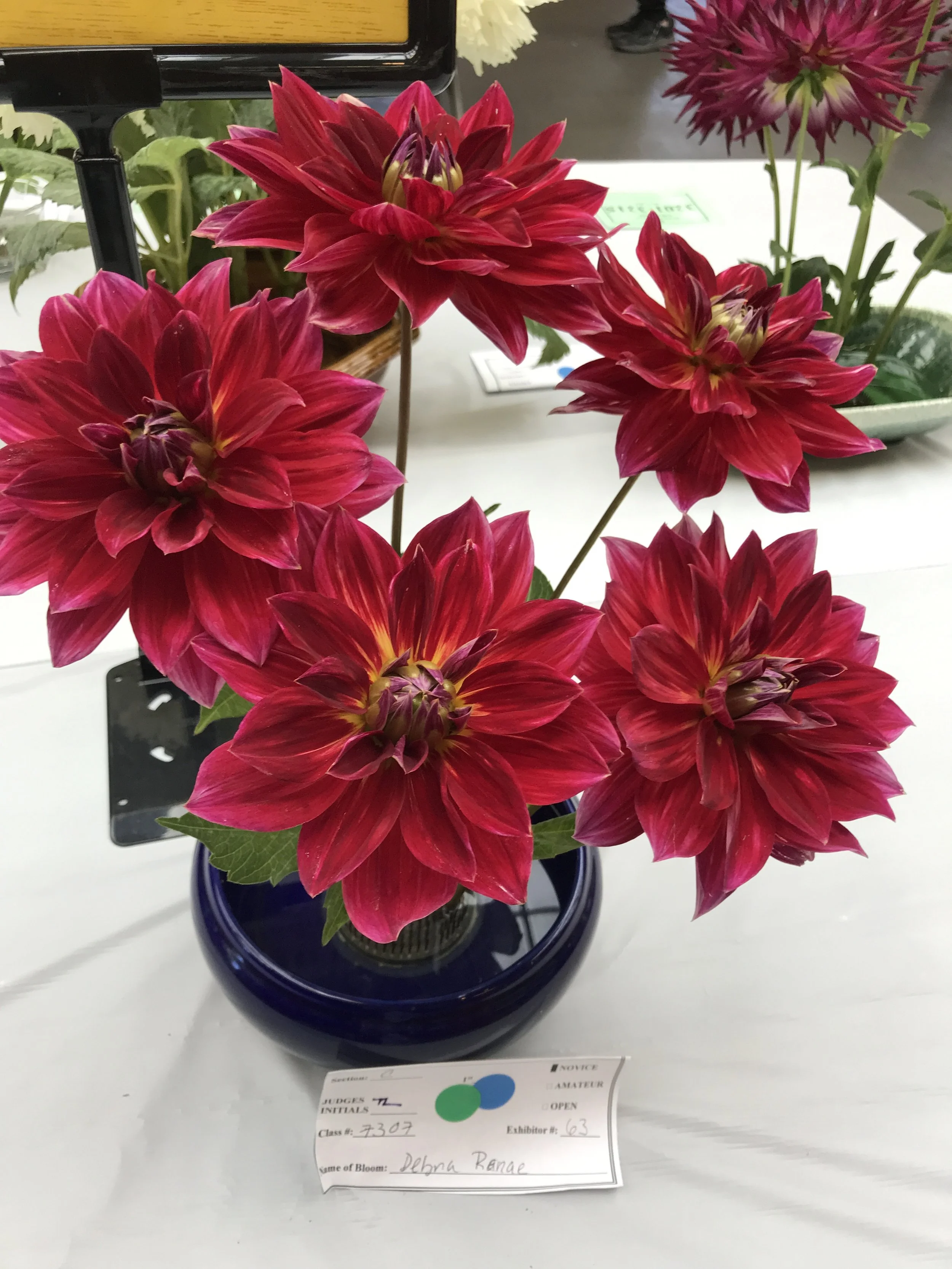 An arrangement of five