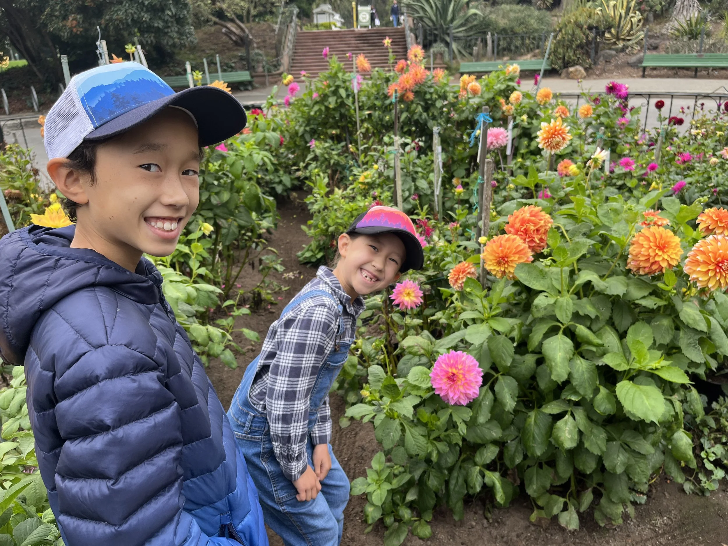 These young volunteers started along the outside of the Dell under Deborah's supervision. Now they can work on the inside!

