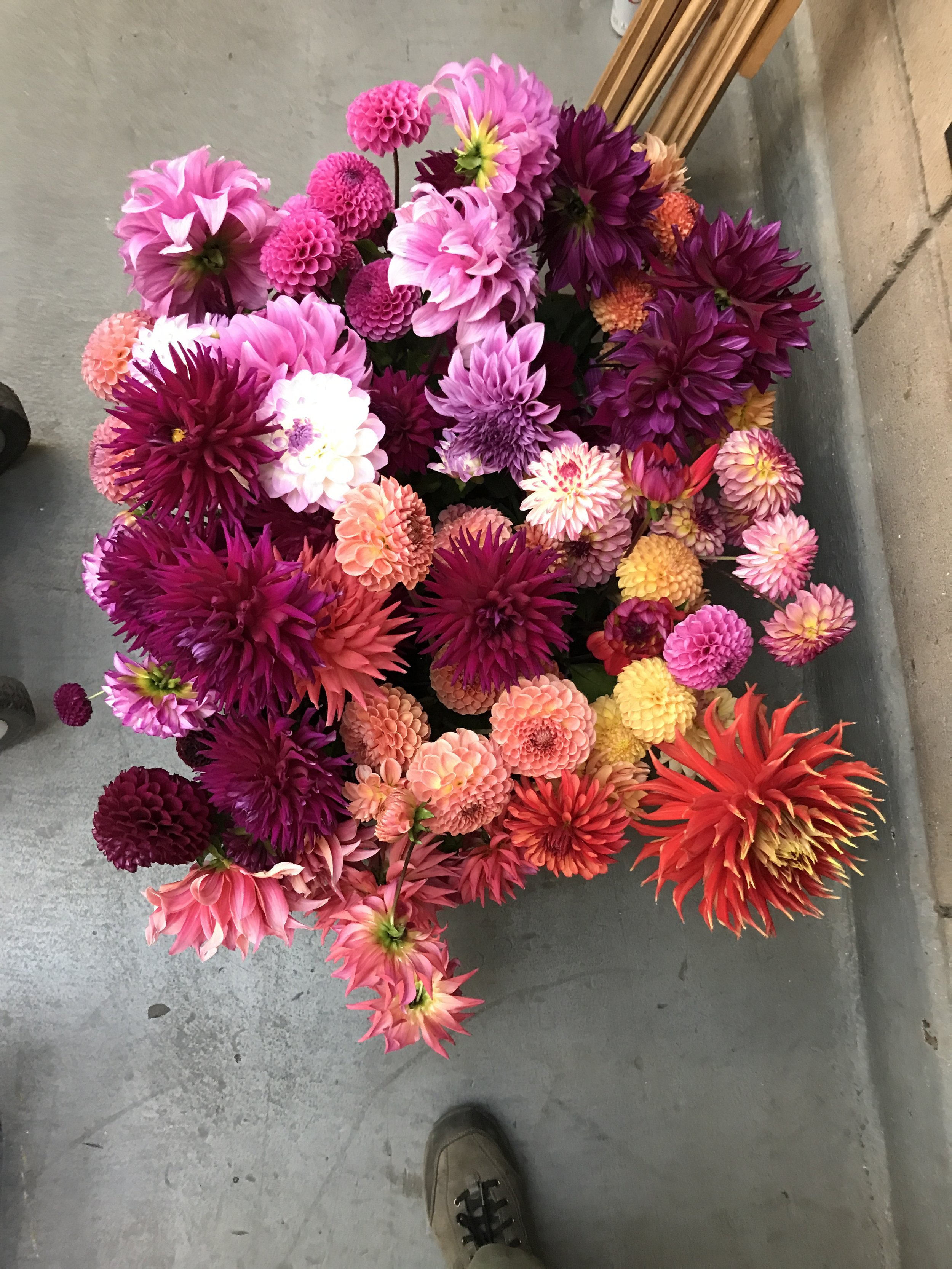 Container full of freshly cut blooms arrives at the Hall of Flowers