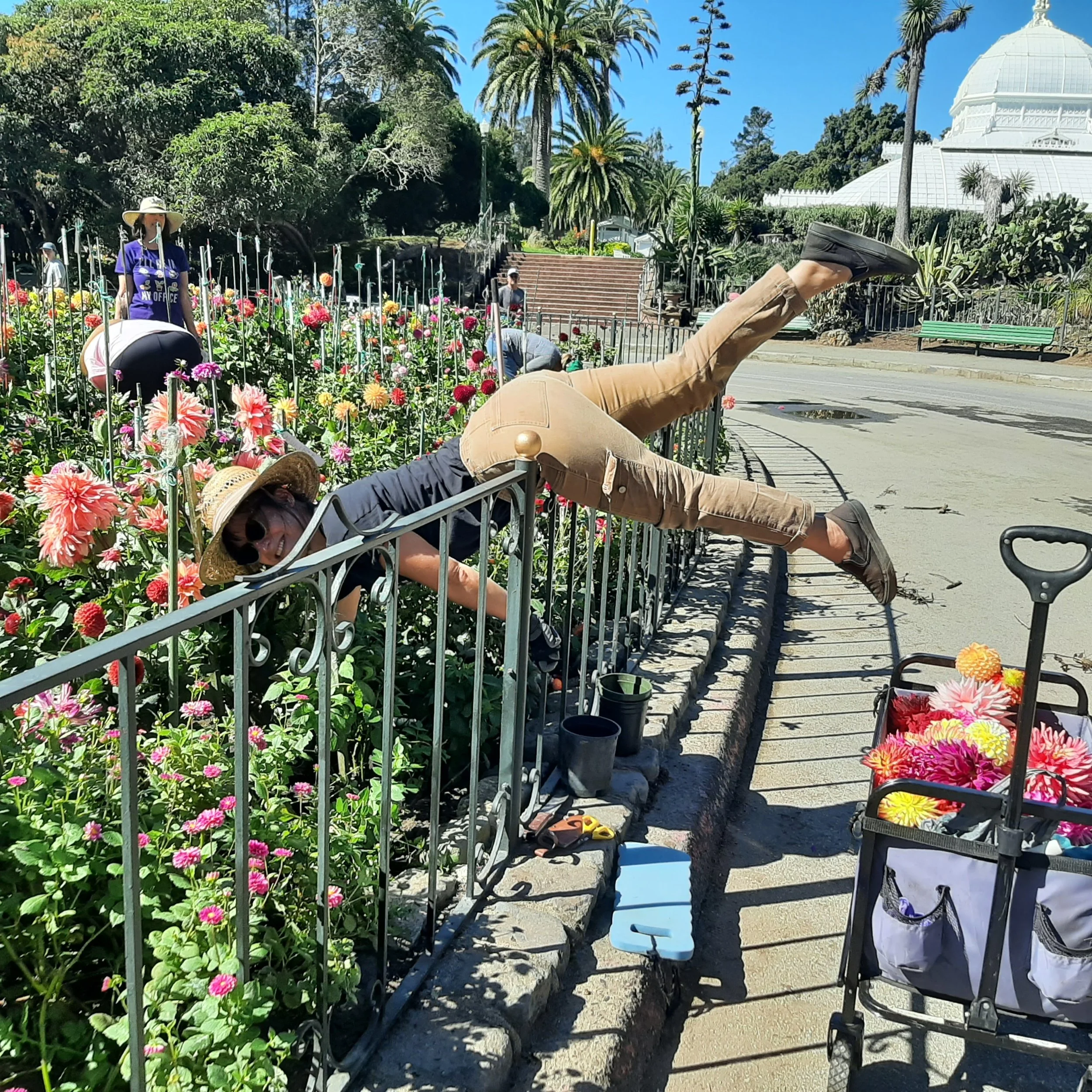 Mini practices dahlia yoga.jpg