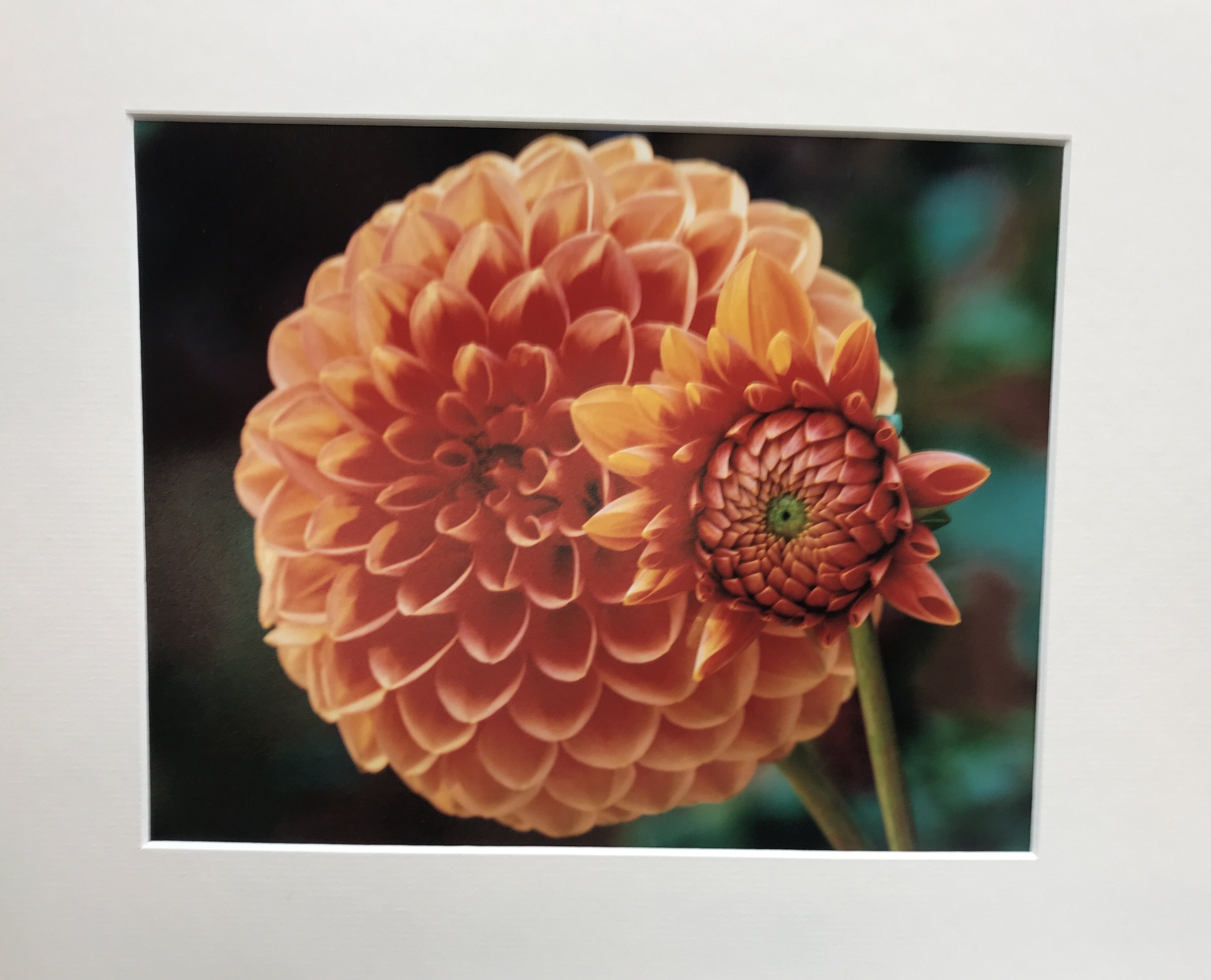 "Best Photo" 2022 DSC Show