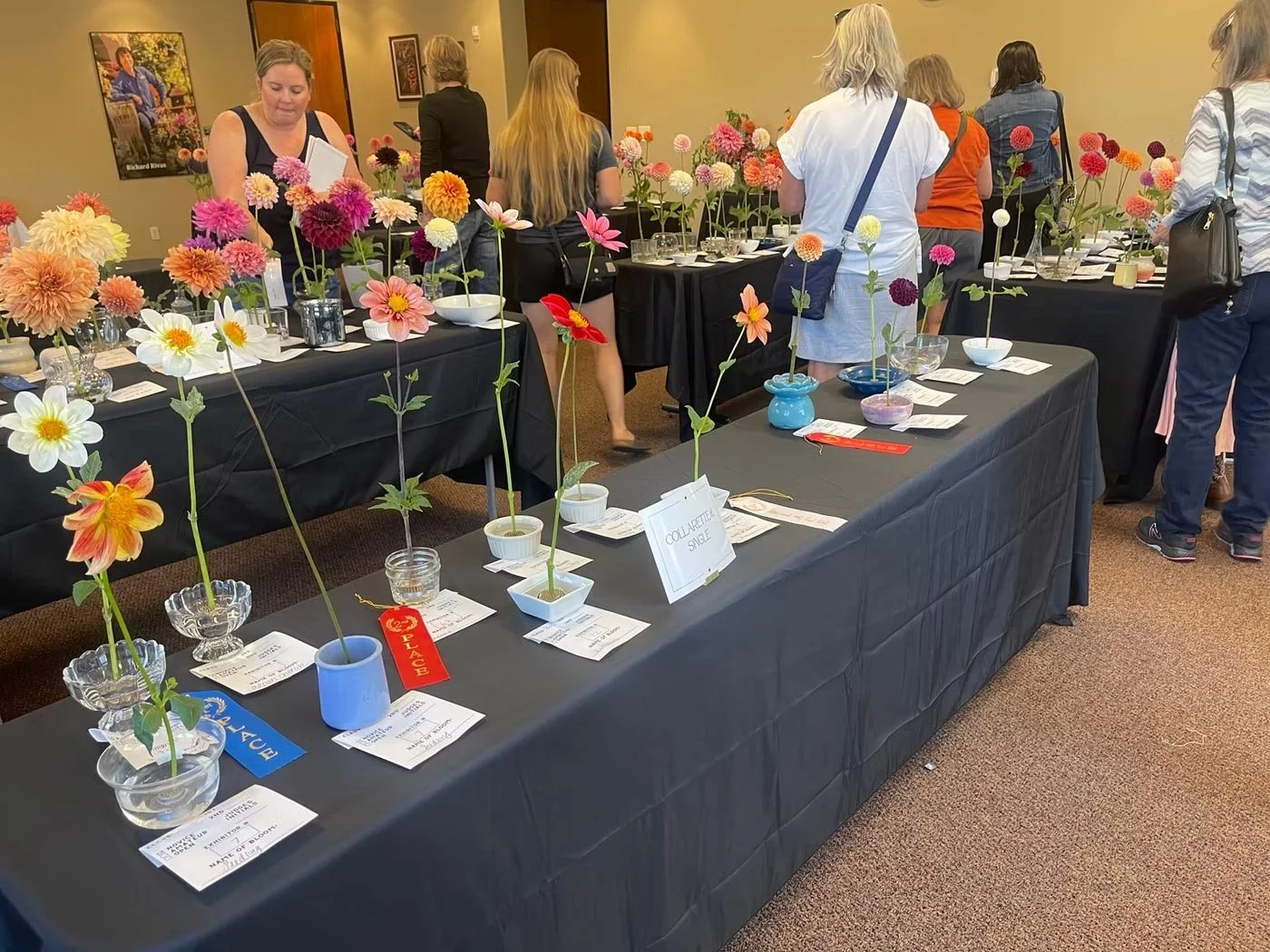 Sierra Nevada Dahlia Show