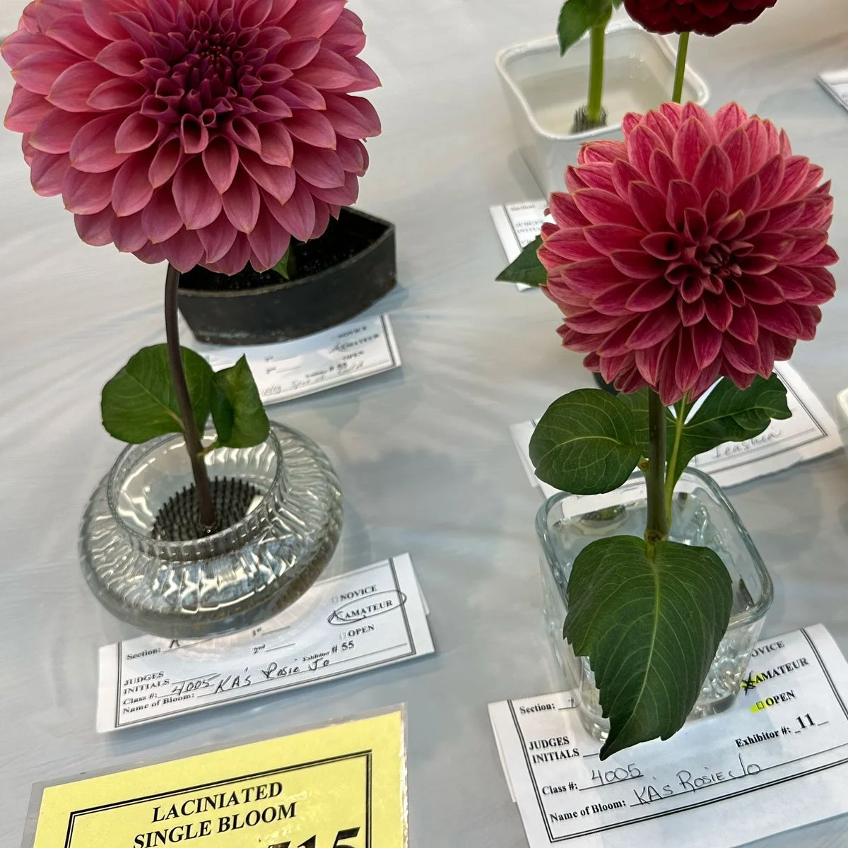 KA's Rosie Jo exhibits with exhibitor cards