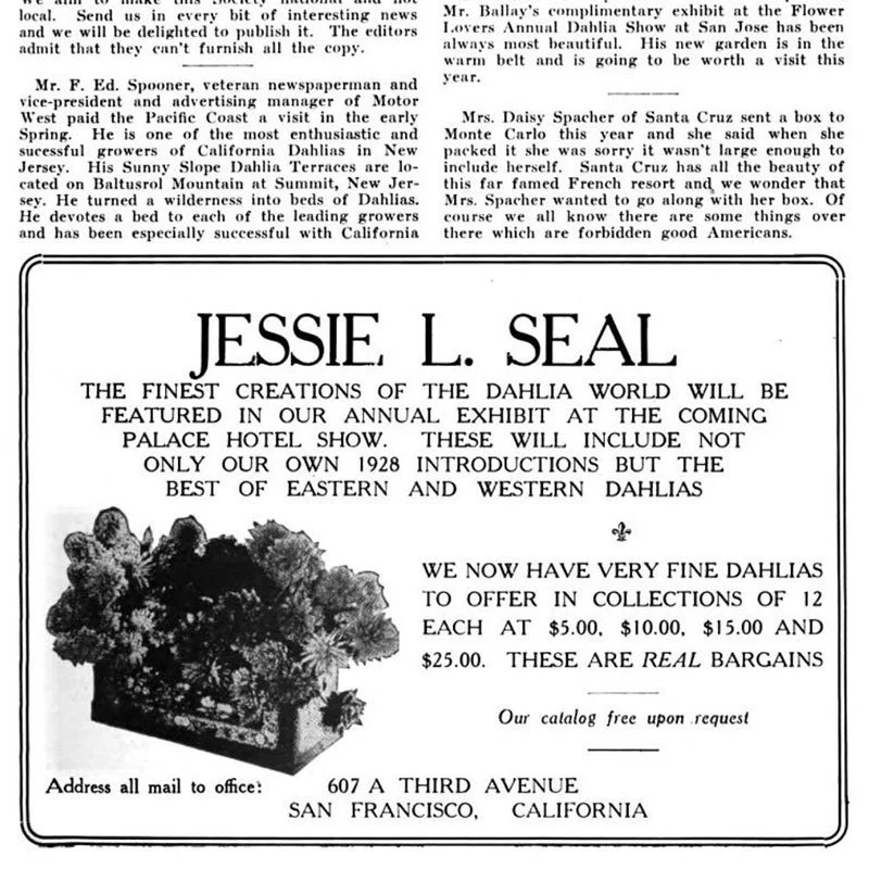 dsc-bulletin-1920s-jessieseal.jpg