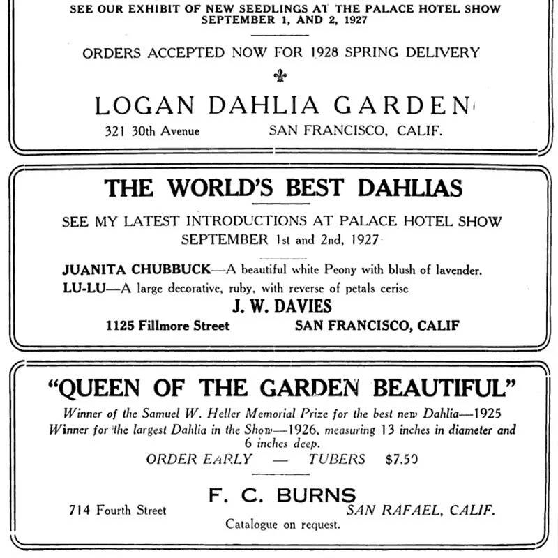 dsc-bulletin-1920s-advertisements.jpg