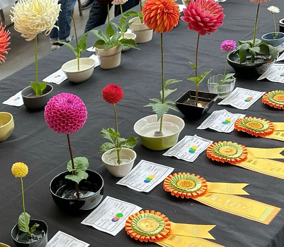 Dahlia Show winner's table