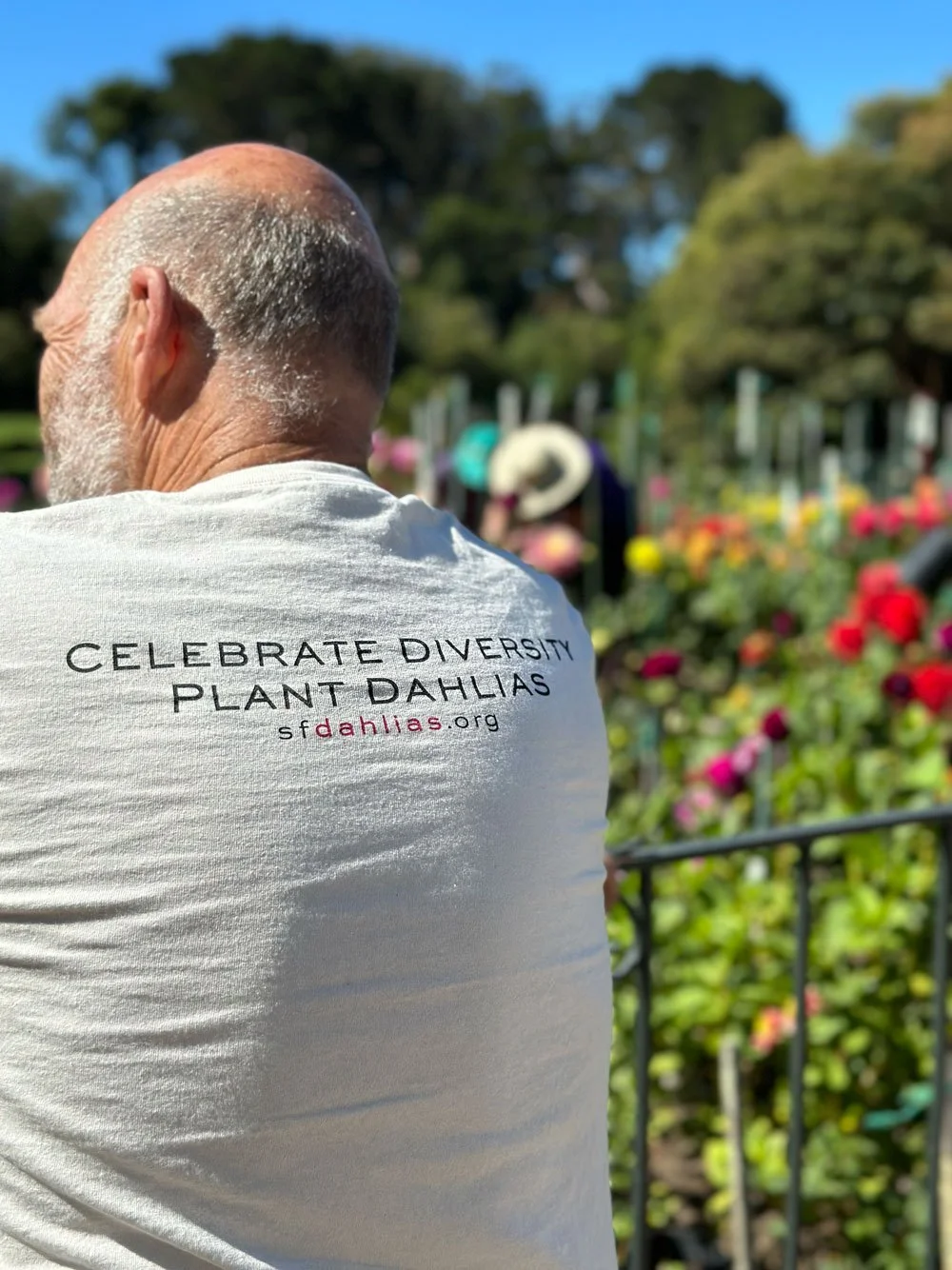 Celebrate diversity, plant dahlias
