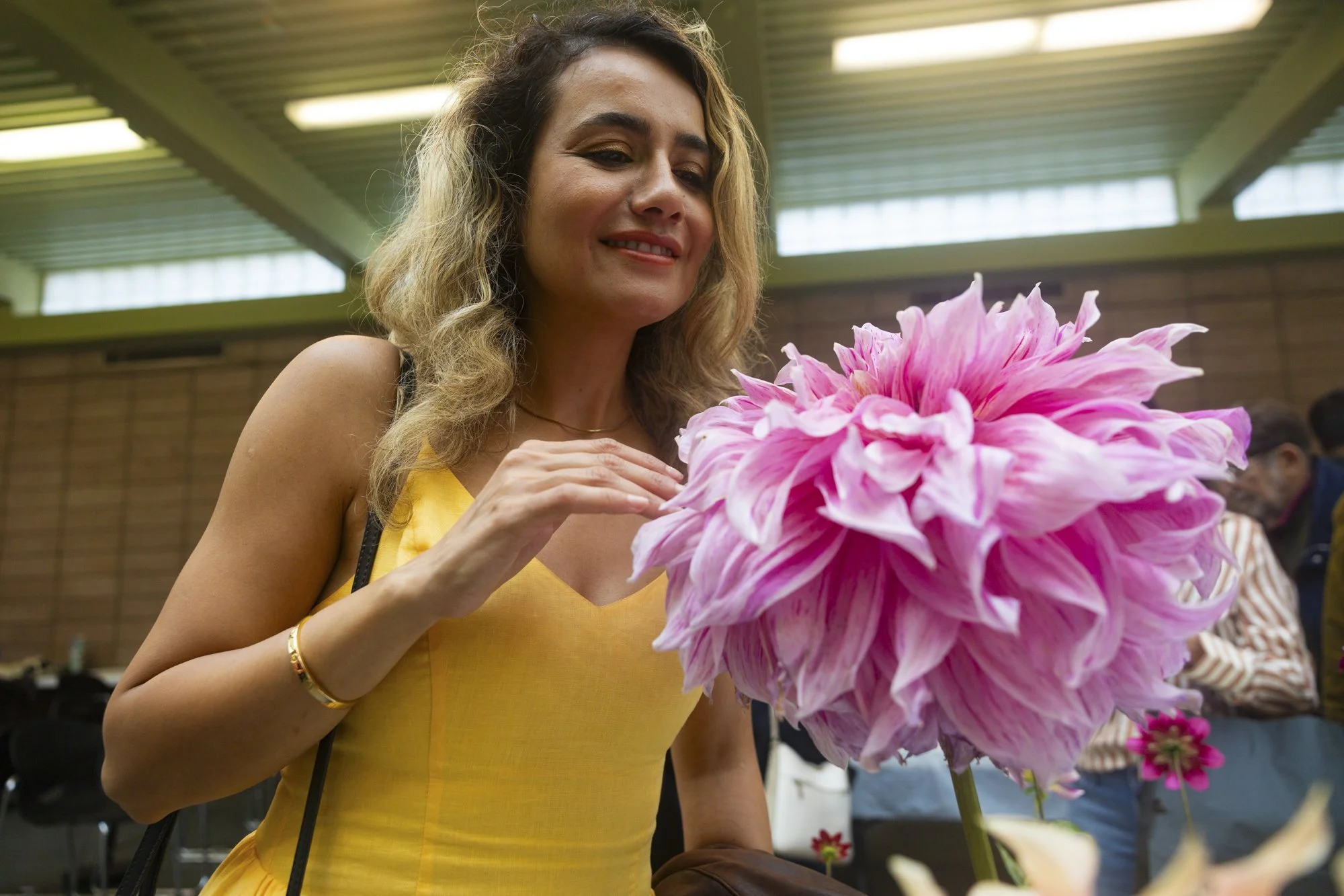 Woman viewing giant "Dinner Plate" dahlia