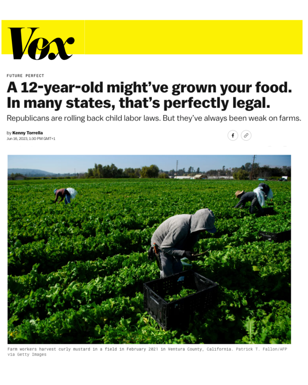 Farm workers harvest curly mustard in a field in Ventura County, California.