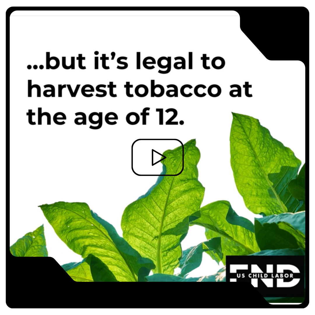 Text says '...but it's legal to harvest tobacco at the age of 12' with green tobacco leaves in the background and a