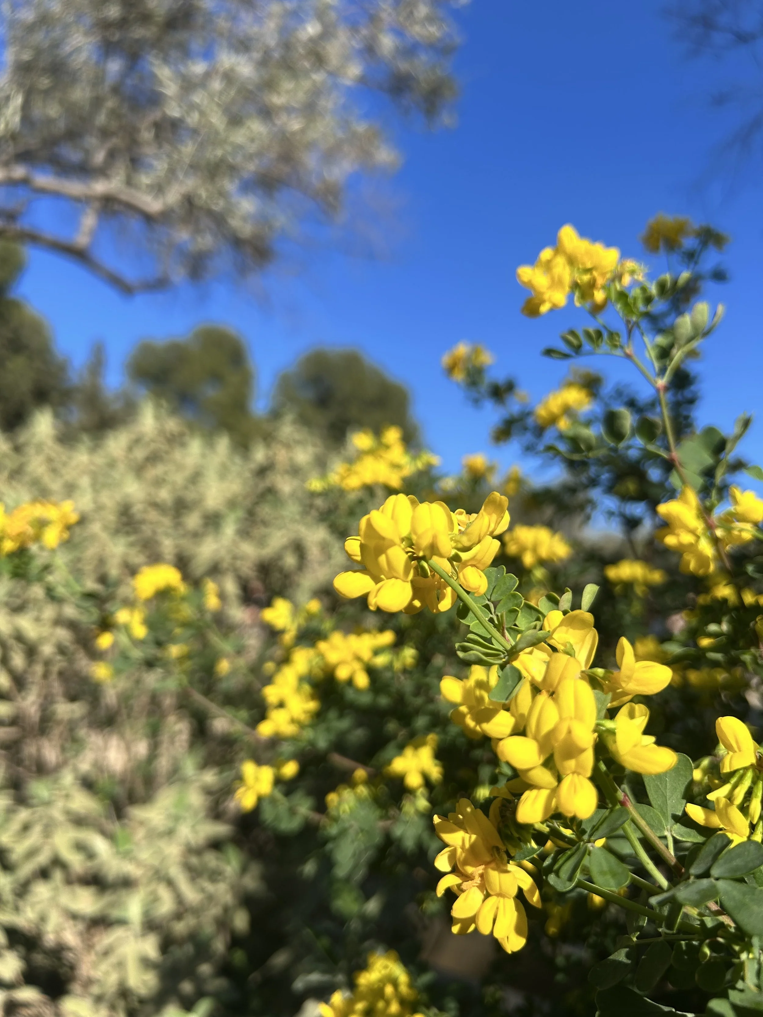 Barcelona February 2026