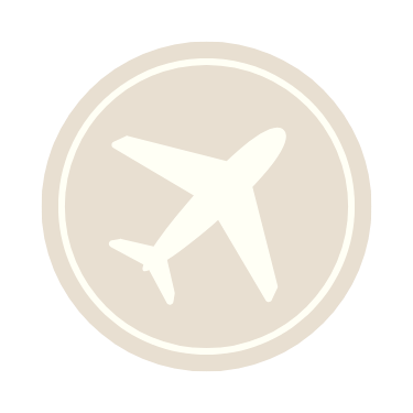 Icon of an airplane inside a circular border