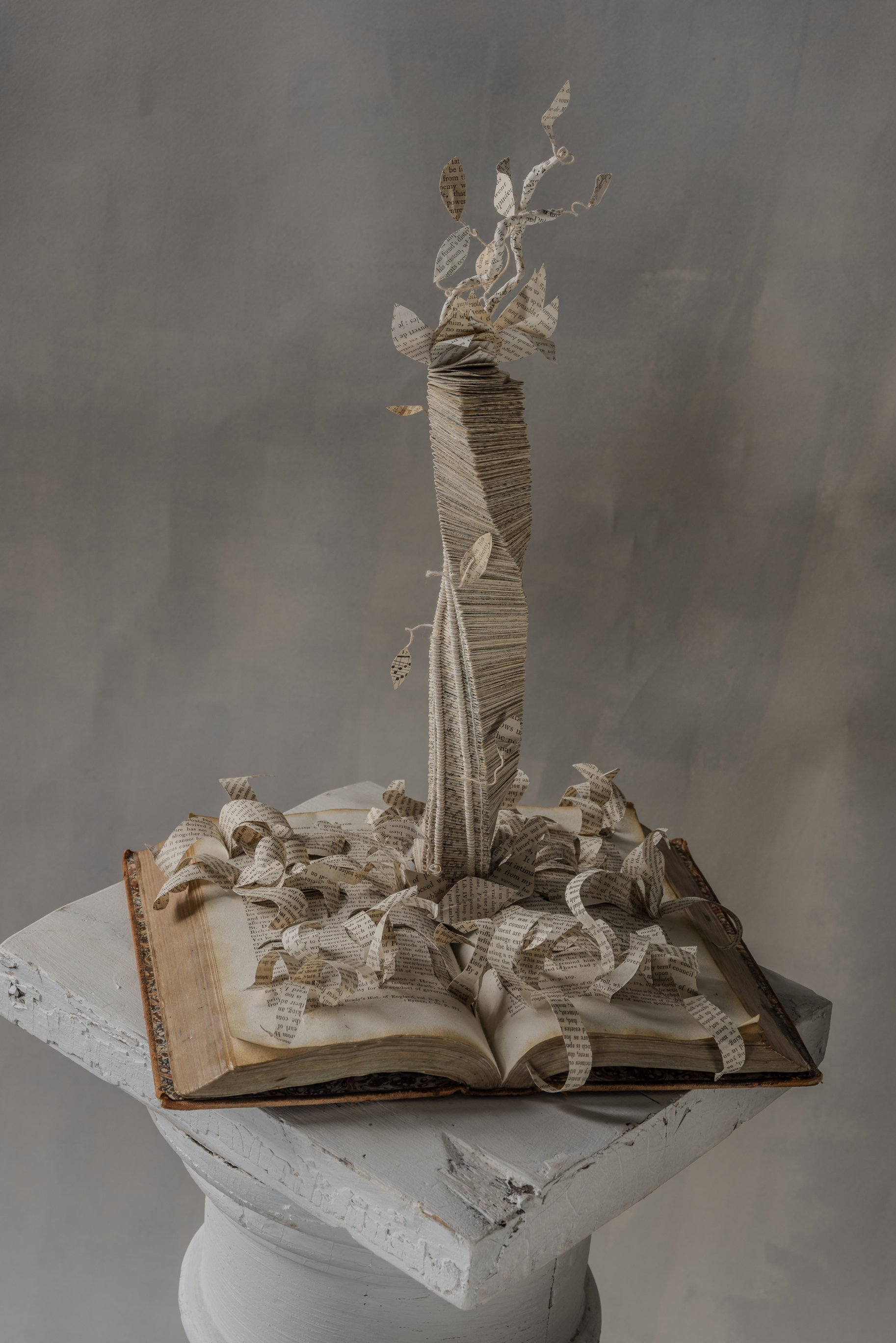 Sprung from the Pages