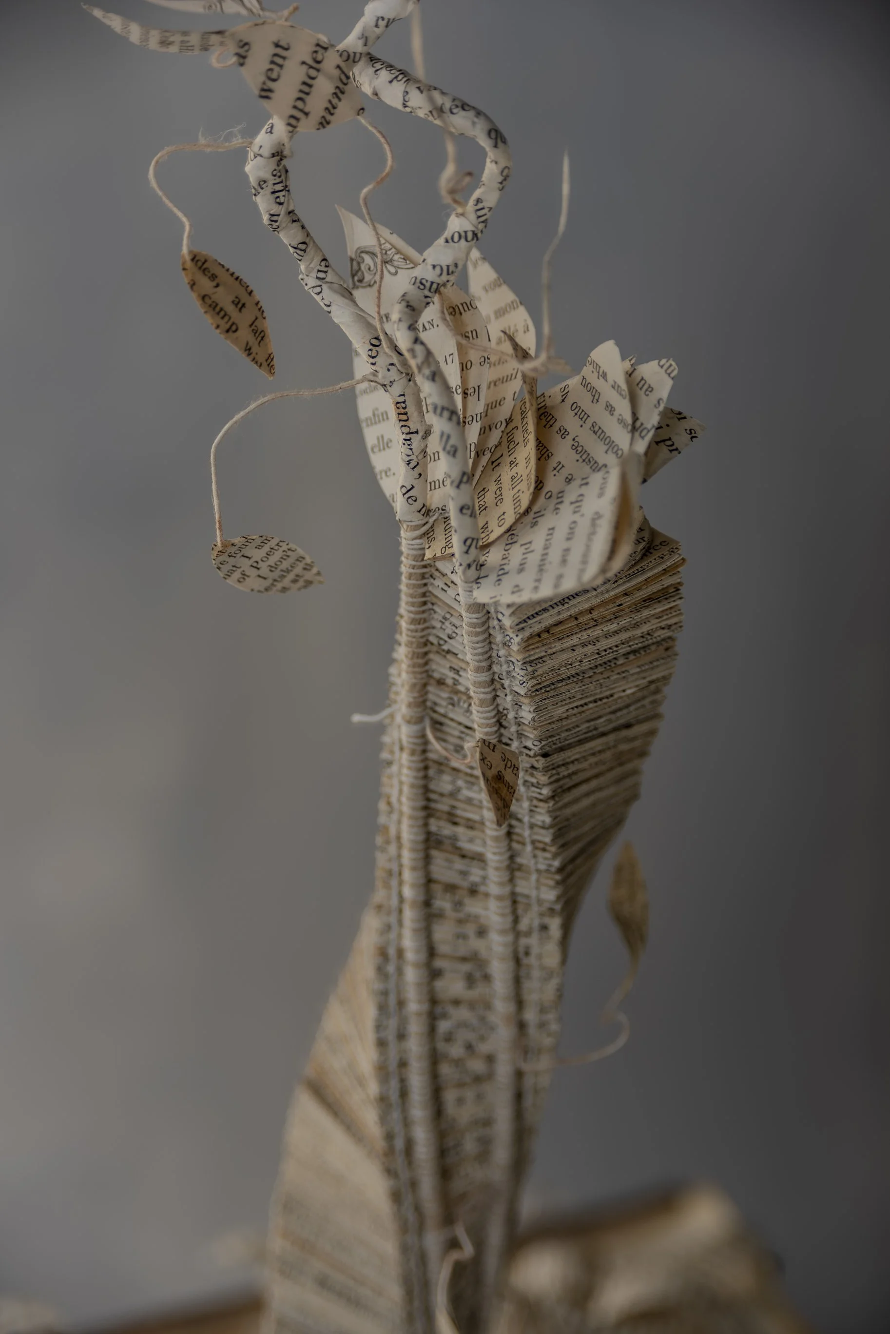 Sprung from the Pages paper sculpture by Jeannine Stein