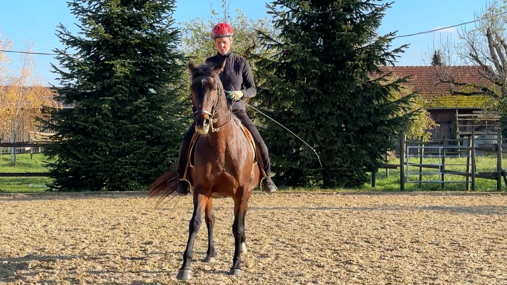 November-Impressionen 2024 von Dudinka_Foto10.jpg