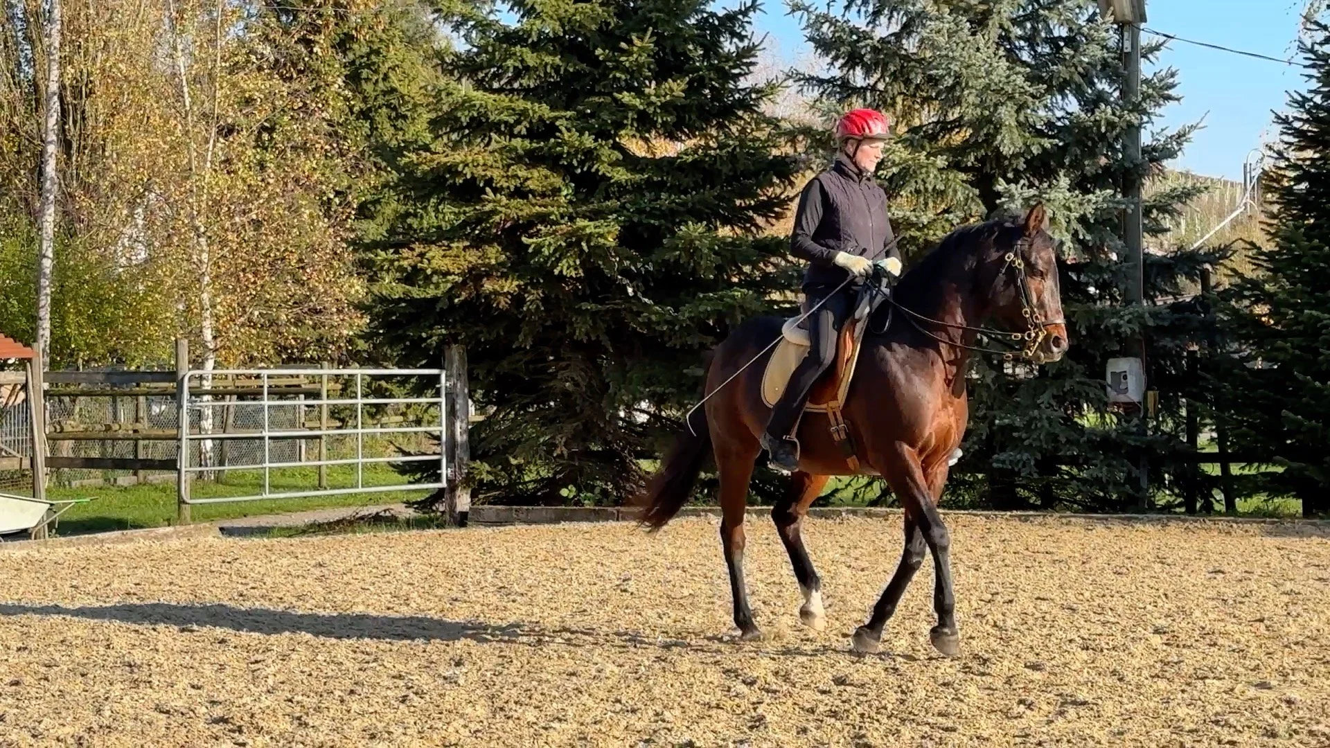 November-Impressionen 2024 von Dudinka_Foto7.jpg