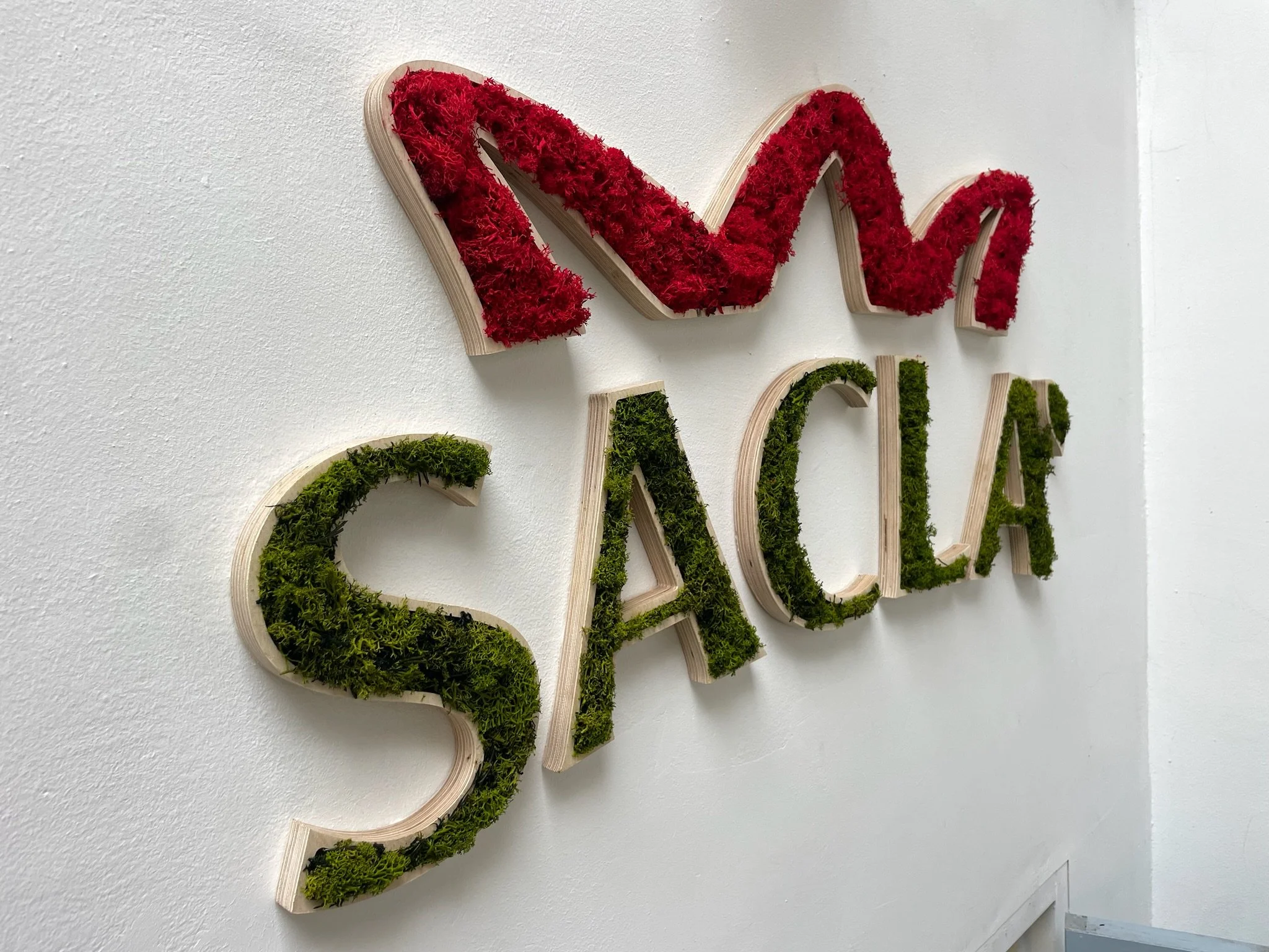 Mot en bois décoré avec des fleurs en mousse rouge et verte, fixé au mur blanc.