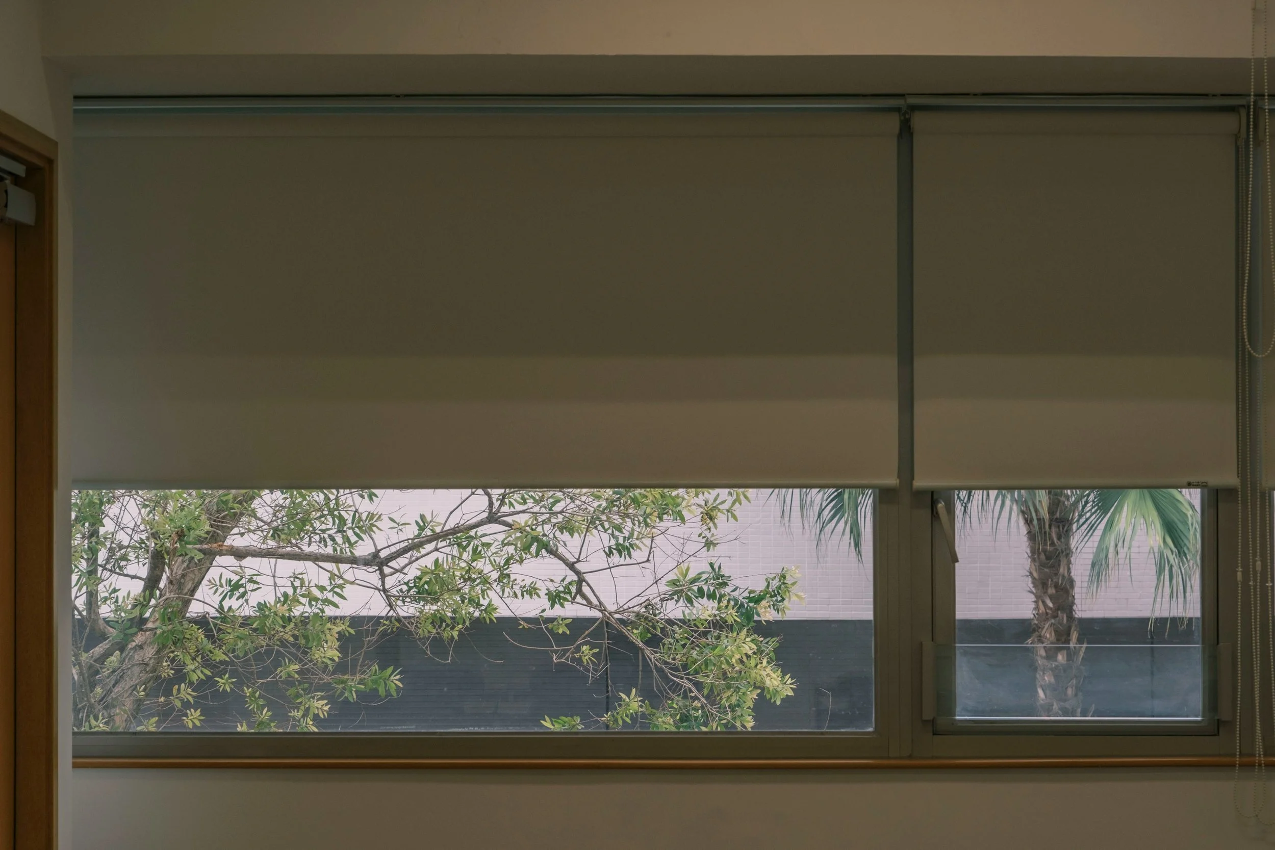 View of outside greenery, including a tree and palm, through partially open window blinds.