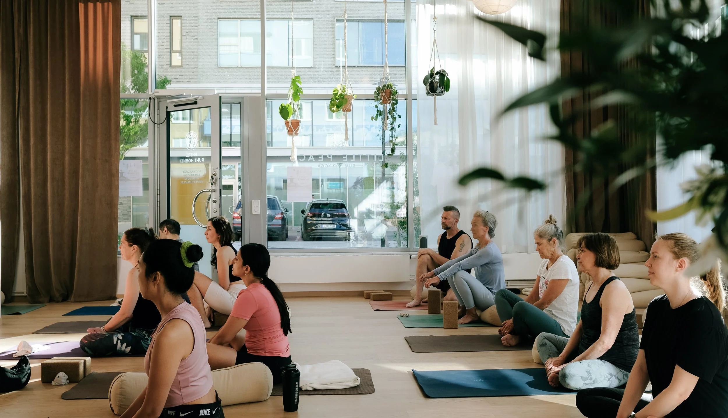 People practicing yoga or meditation in a brightly lit studio with large windows, hanging plants, and a view of parked cars outside.