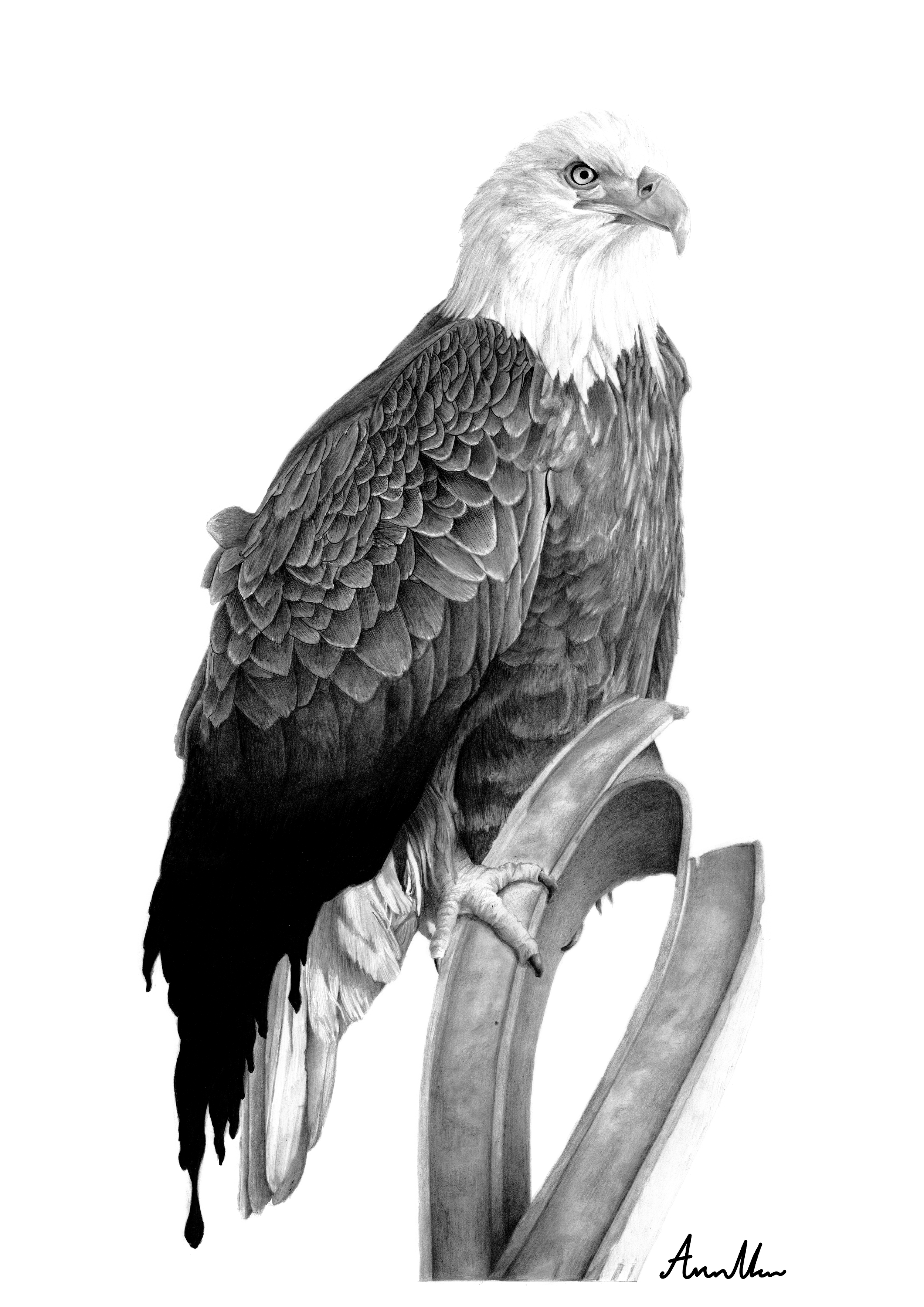 "There Is Only Grey"