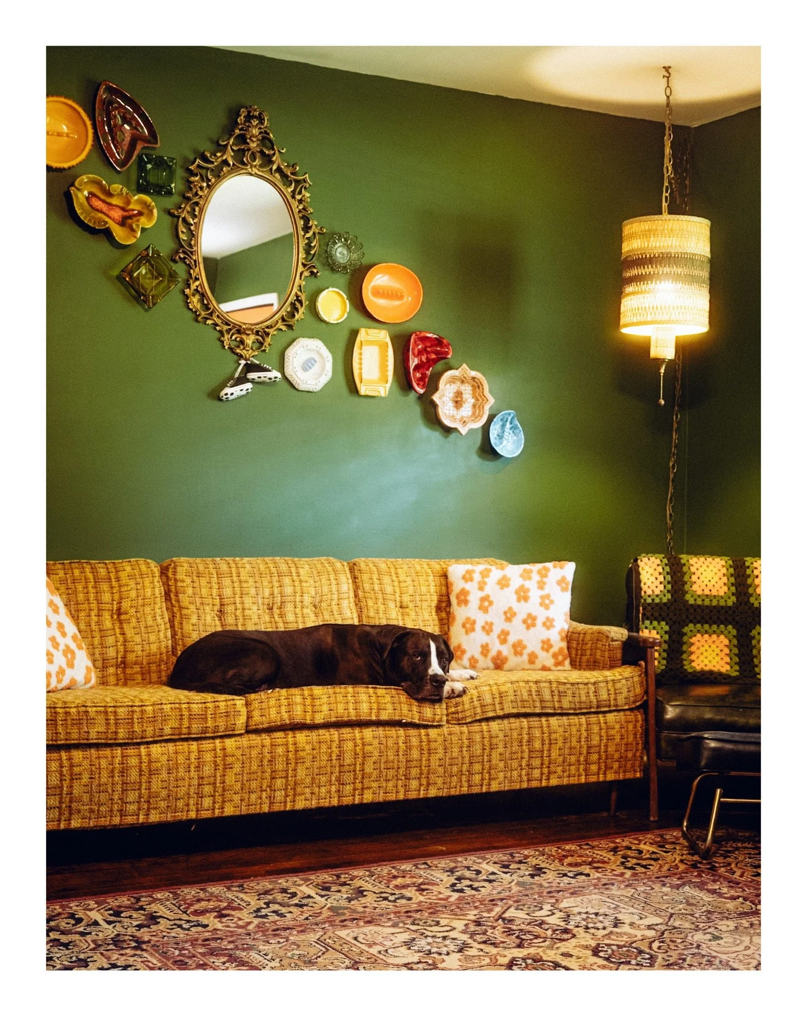 A living room with a yellow patterned sofa, decorative pillows, a colorful area rug, a green wall with wall art and mirror, a hanging ceiling lamp, and a black dog lying on the sofa.