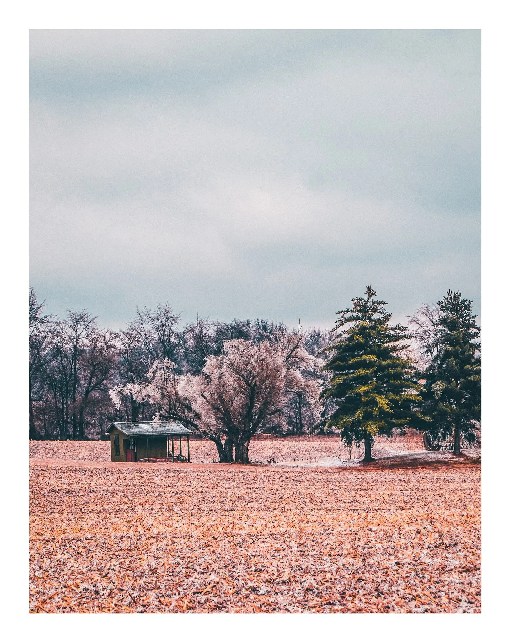 A rural landscape during autumn featuring a small wooden shelter, numerous trees with changing leaves, and a sky with light clouds.