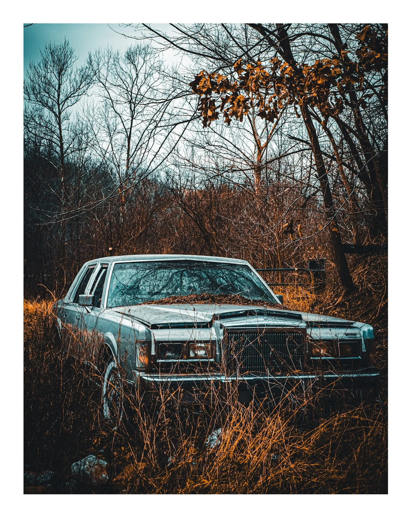 An old silver car with a damaged front grille and missing windshield wipers parked in a forest with leafless trees and dry grass.
