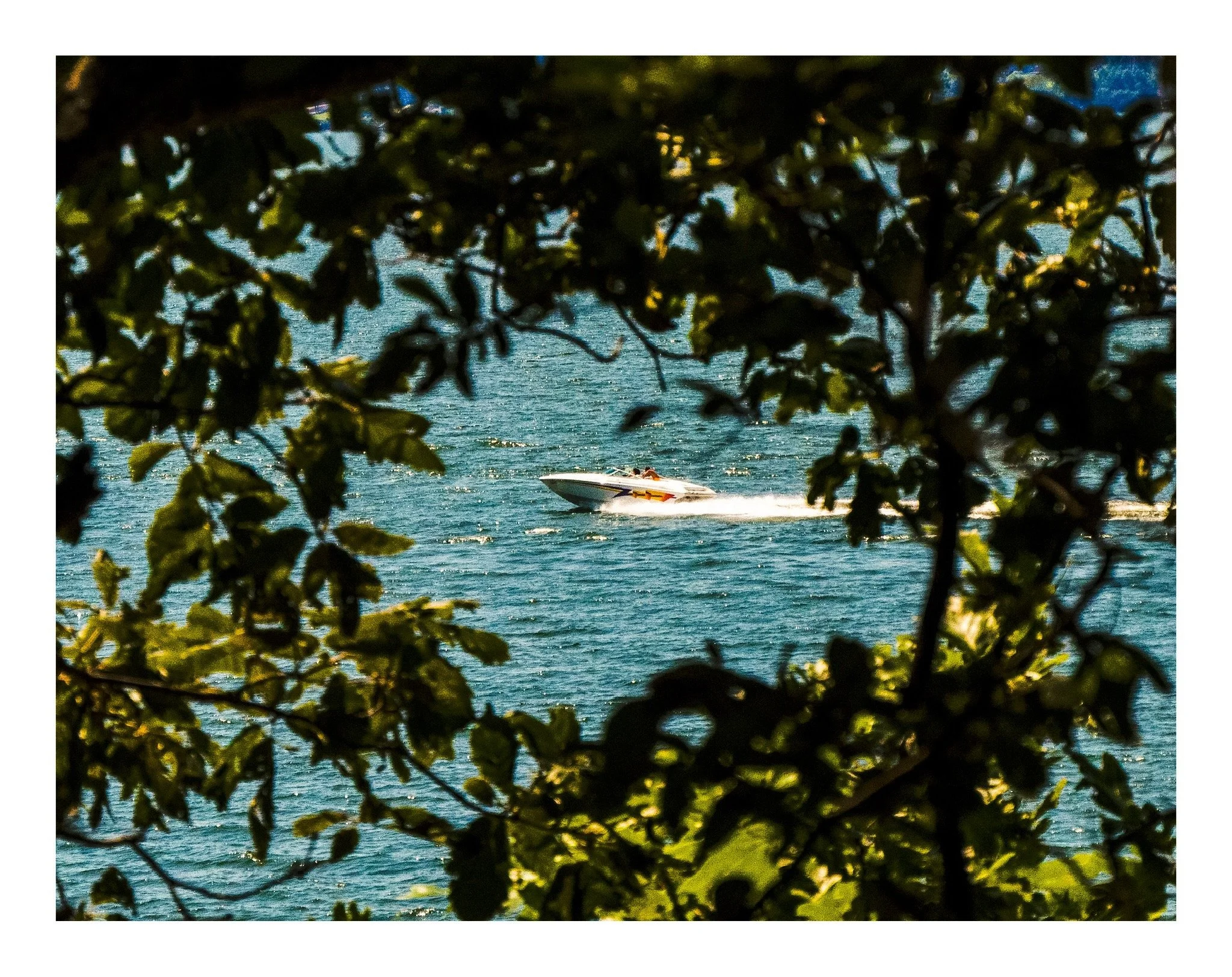 A boat speeds across a body of water, seen through green leaves and branches in the foreground.
