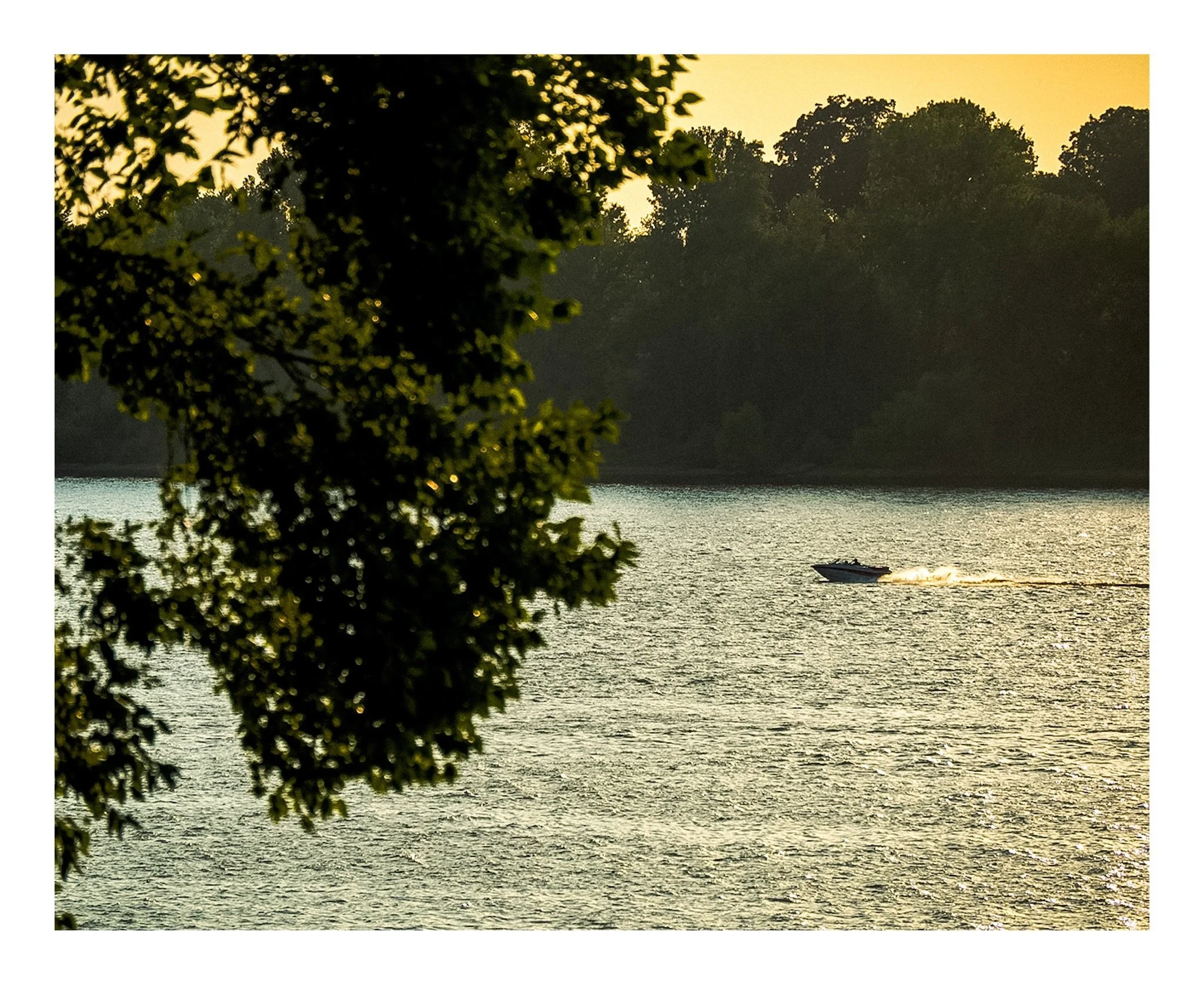 A boat on a river or lake during sunset, with trees along the shoreline and foliage in the foreground.