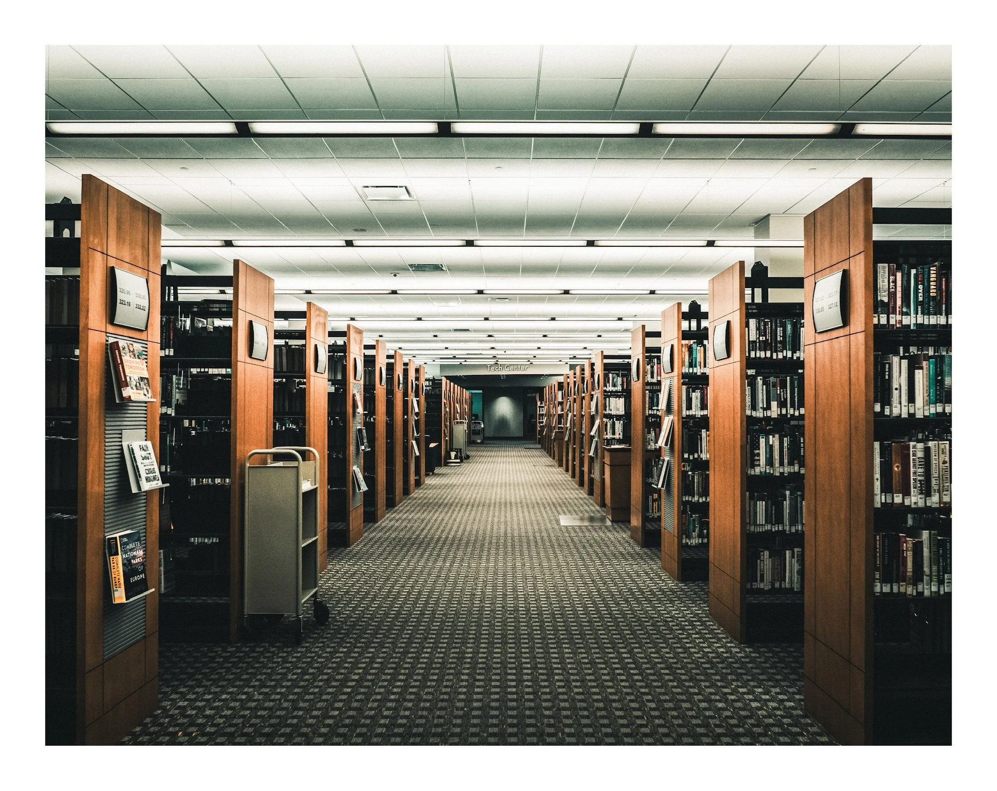 A corridor in a library with bookshelves on both sides and a patterned carpet floor.
