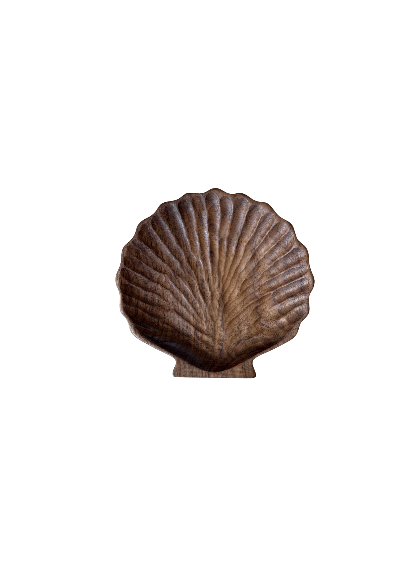 Walnut Wood Shell Tray