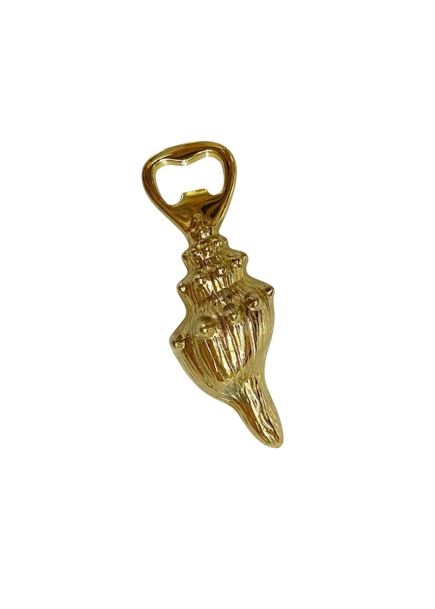 Conch Shell Brass Bottle Opener