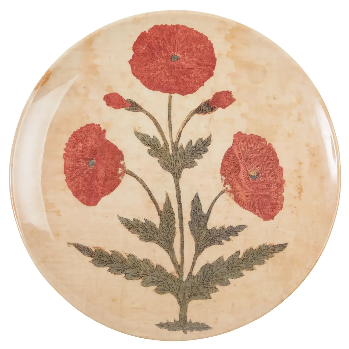 Poppy Dinner Plates – Set of 4